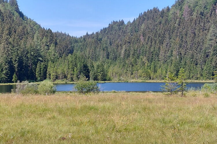 Natur genießen am Spechtensee