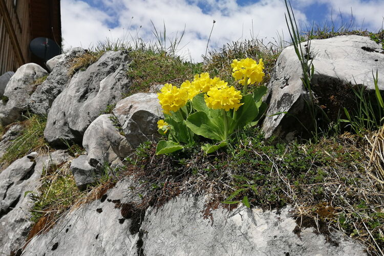 Natur genießen